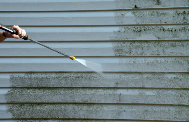 Best Pressure Washing Siding  in Gibson, AR