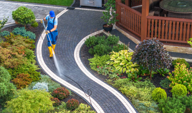 Best Affordable Power Washing  in Gibson, AR